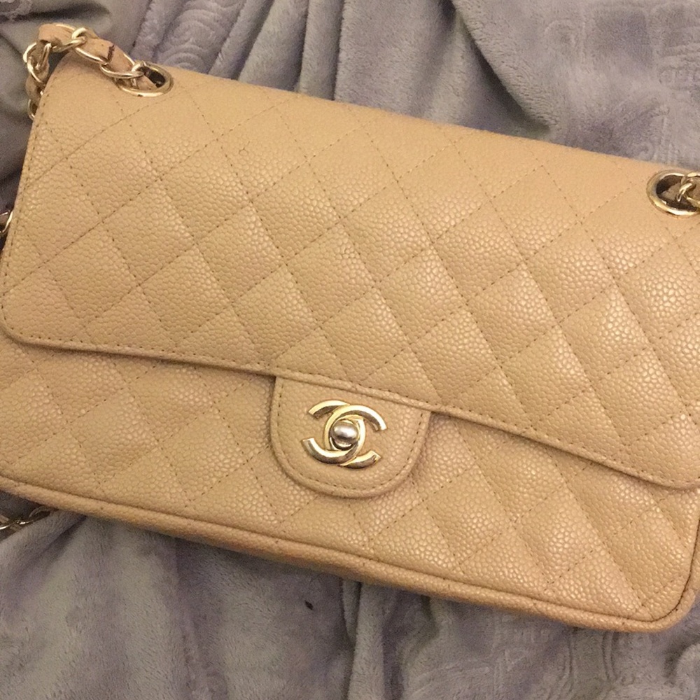 Chanel Nude Purse